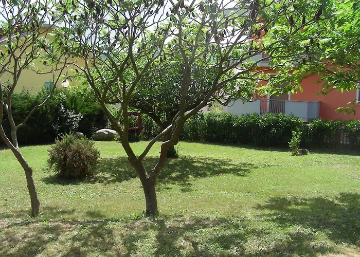 Pier Delle Vigne B&B